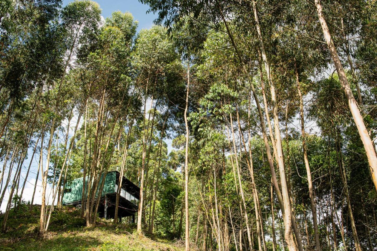 Casa Container Figo Em Meio A Natureza Na Serra Gaucha Flores da Cunha Exteriör bild